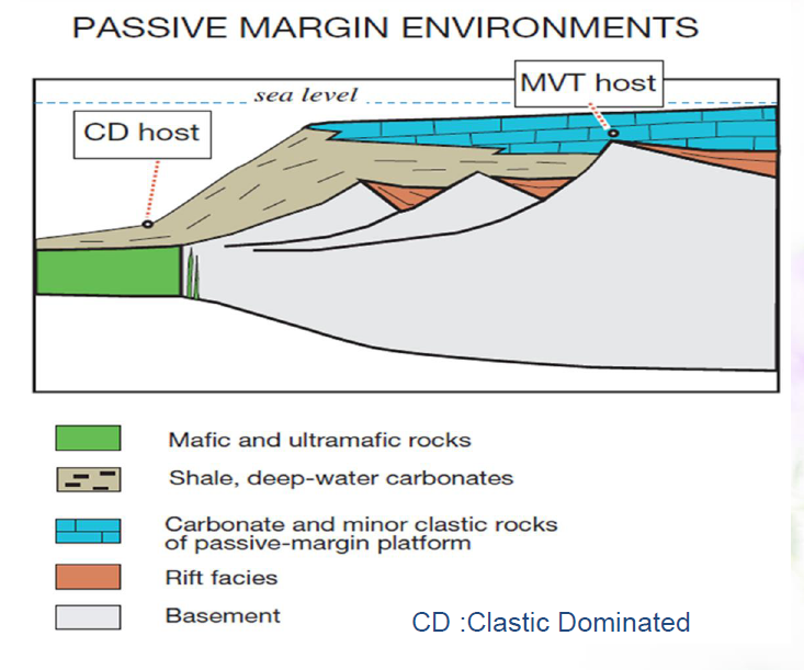 سنگ میزبان و محیط تکتونیکی  کانسارهای mvt