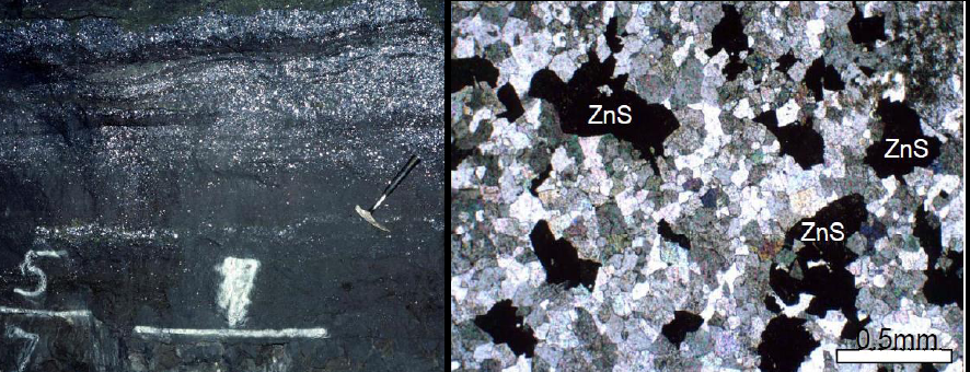 کانی شناسی و ساخت و بافت  کانسارهای mvt